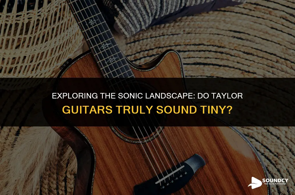 is it me or do taylor quitars sound tiny