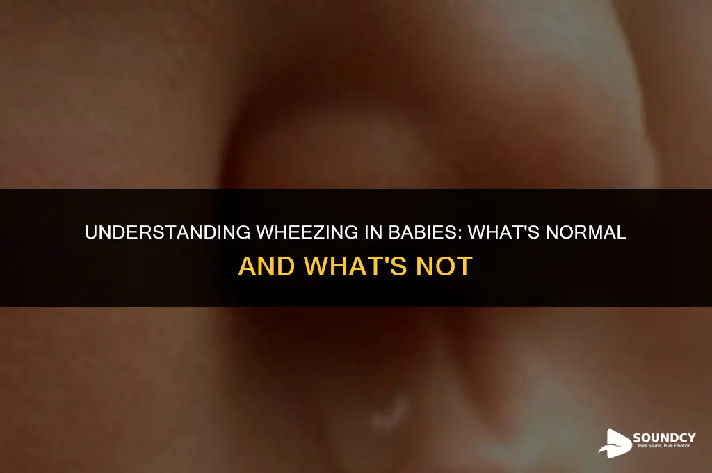 is it normal for babies to make wheezing sounds