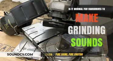 Is It Normal for Hard Drives to Make Grinding Sounds?