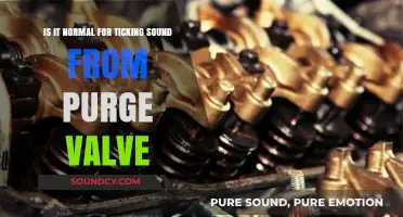Understanding Purge Valve Ticking: Is It Normal?