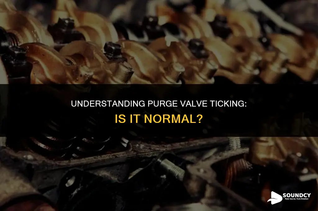 is it normal for ticking sound from purge valve