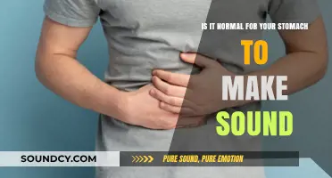 Understanding Stomach Noises: When Is It Normal and When to Worry