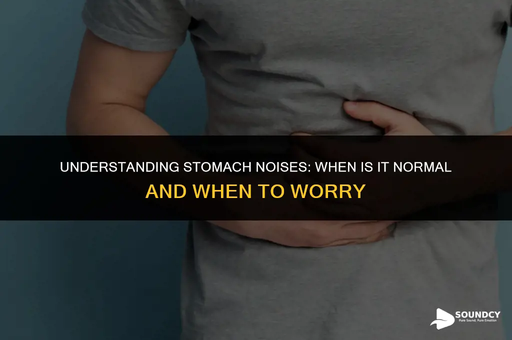 is it normal for your stomach to make sound