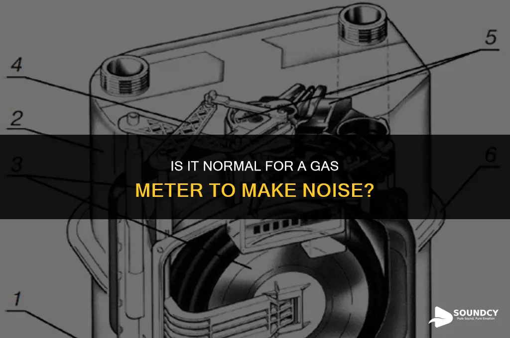 is it normal forgas meter to make a sound
