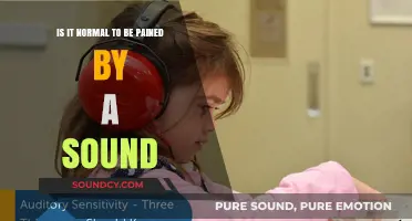 Exploring the Depths of Auditory Sensitivity: When Sounds Hurt