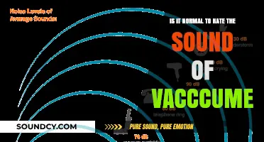 The Vacuum Vexation: Exploring the Common Dislike of Vacuum Sounds
