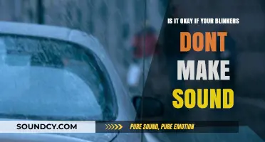 Silent Blinkers: When Your Car's Turn Signals Don't Make Noise