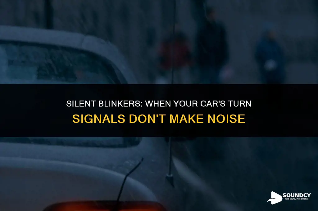 is it okay if your blinkers dont make sound