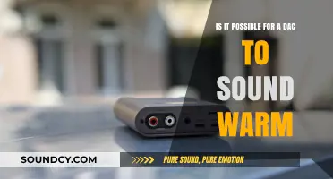 Exploring the Sonic Warmth: Can DACs Truly Deliver?