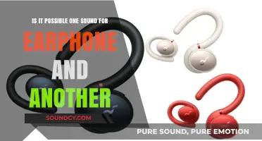 Exploring Audio Possibilities: Different Sounds for Each Earbud?