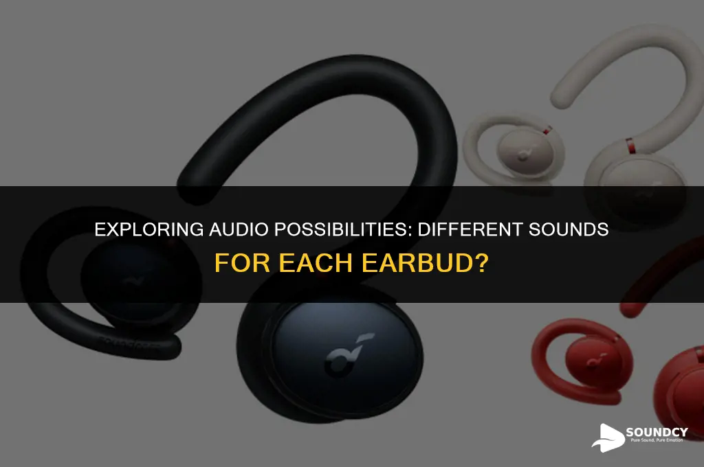 is it possible one sound for earphone and another