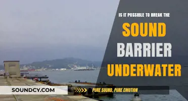 Breaking the Sound Barrier: Underwater Sonic Exploration