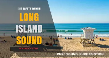 Exploring Long Island Sound: Safe Swimming Spots and Tips