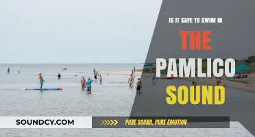 Exploring the Safety of Swimming in the Pamlico Sound