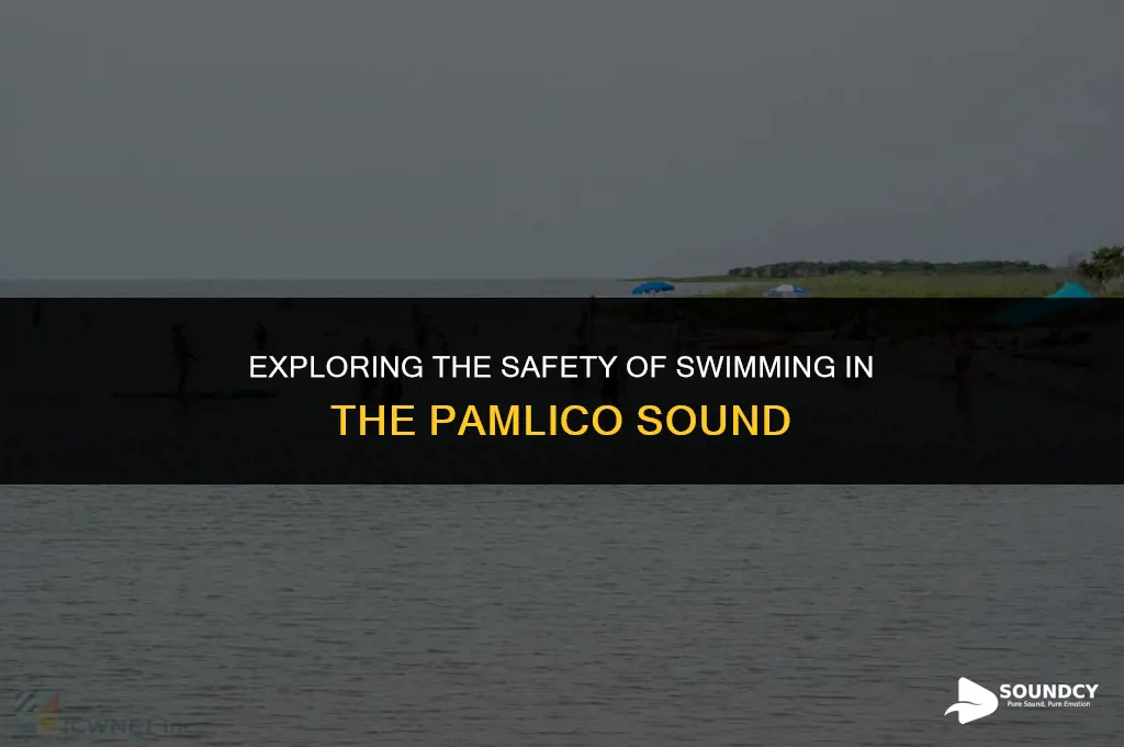 is it safe to swim in the pamlico sound