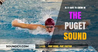 Exploring Puget Sound: Safe Swimming Spots and Tips