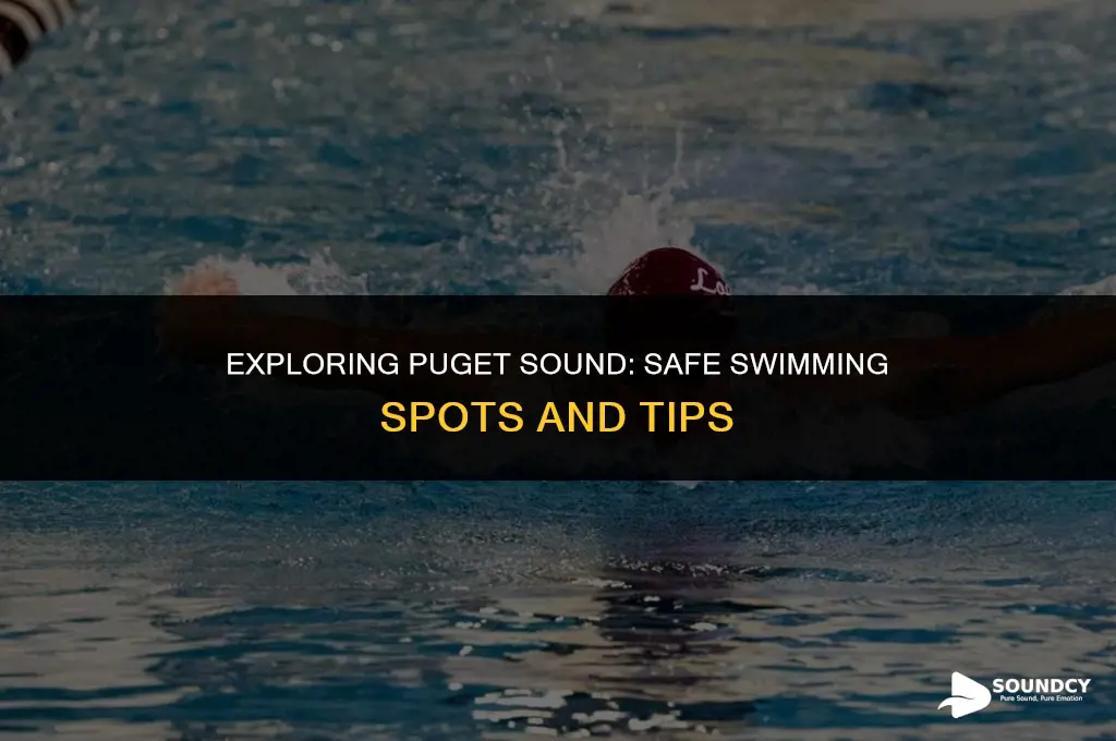 is it safe to swim in the puget sound