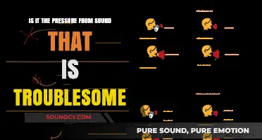 Decibel Dilemma: Unraveling the Impact of Sound Pressure
