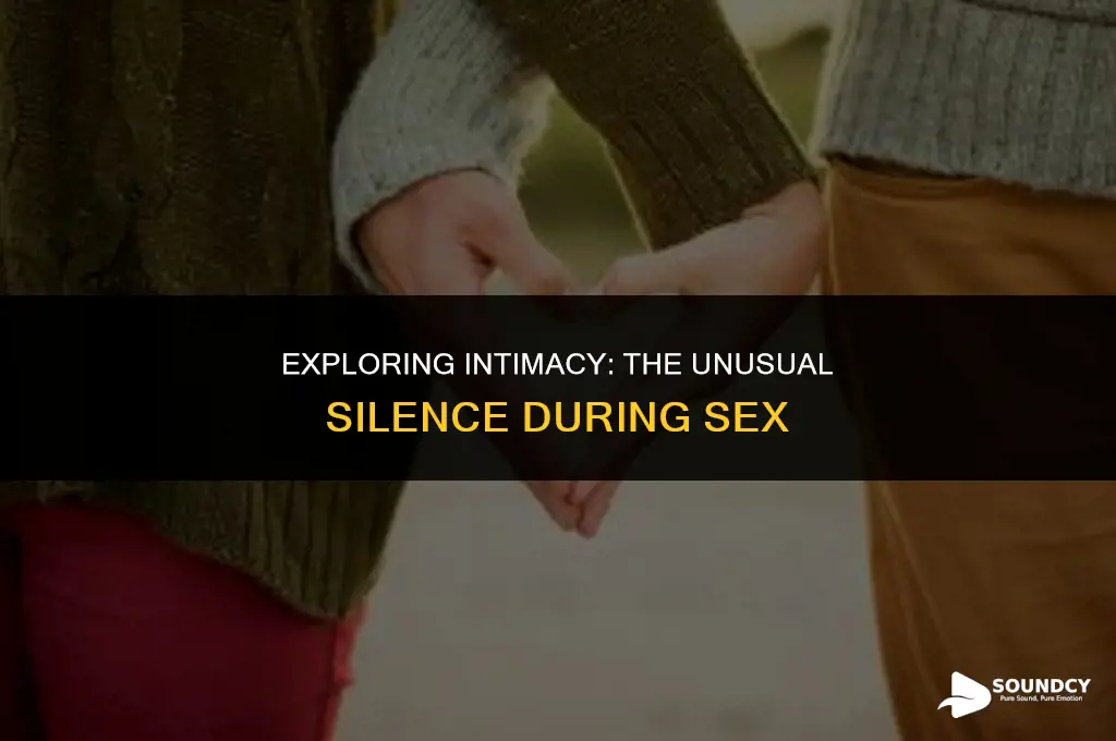 is it wierd if hteres no sounds during sex