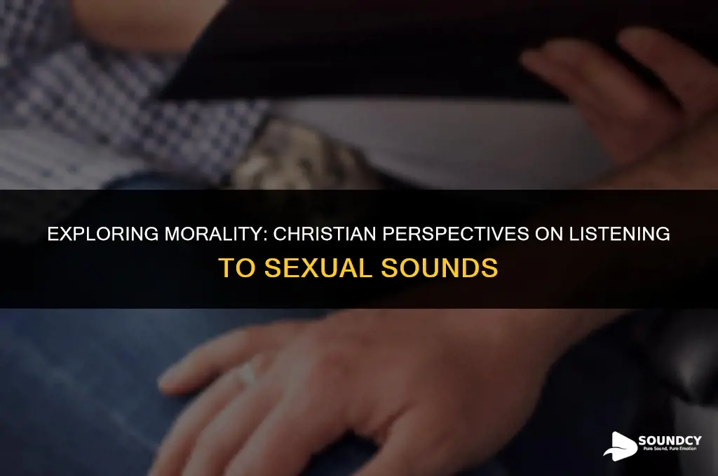 is it wrong to listen to sex sounds christian