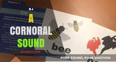 Is 'J' a Consonant Sound? Exploring Phonetics and Language Basics