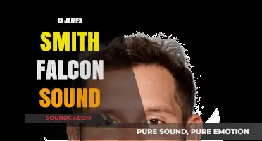 Is James Smith the Voice Behind Falcon Sound? Unveiling the Truth