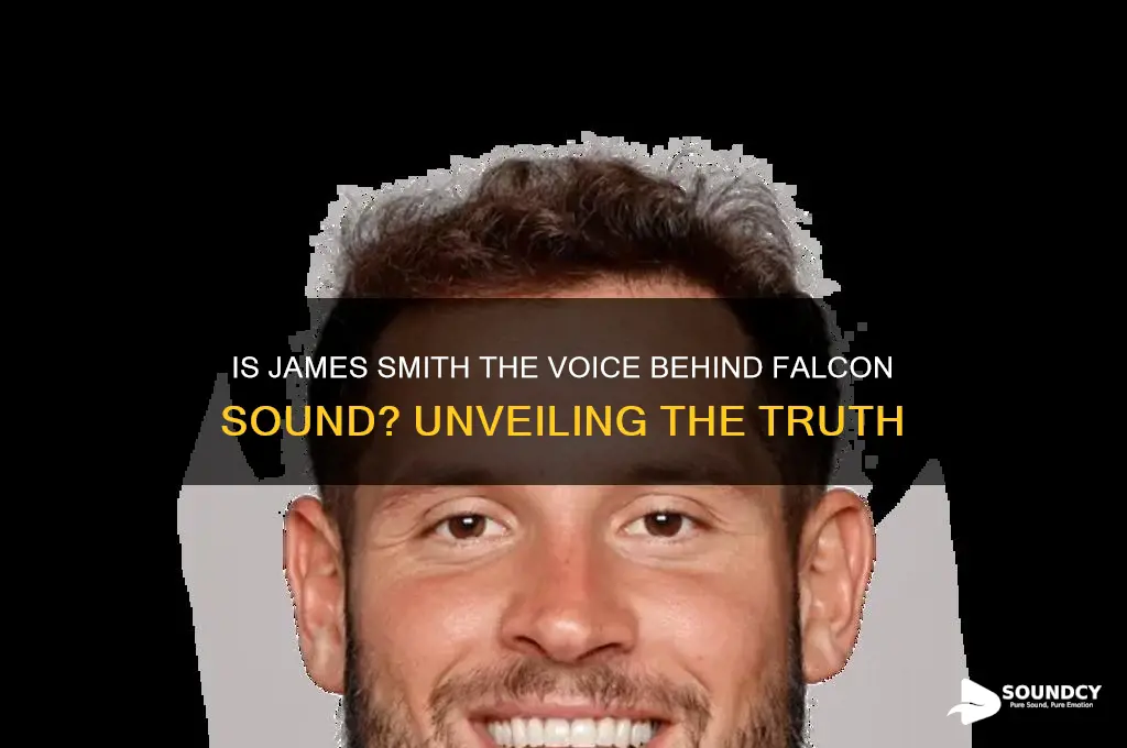 is james smith falcon sound