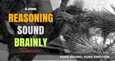 Is Joshua's Reasoning Sound? Analyzing Logic and Critical Thinking