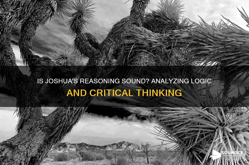 is joshua reasoning sound brainly