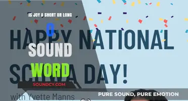 Exploring Phonetics: The Intriguing Case of 'Joy' and Its Vowel Sound