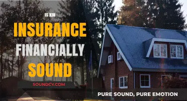 Is Kin Insurance Financially Stable? A Comprehensive Financial Health Review