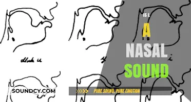 Is 'L' a Nasal Sound? Unraveling the Mystery of Phonetics