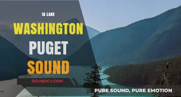 Is Lake Washington Part of Puget Sound? Unraveling the Connection