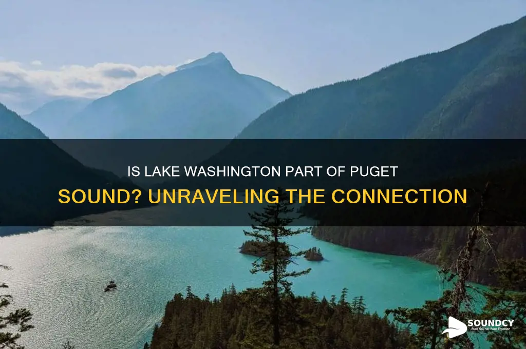 is lake washington puget sound