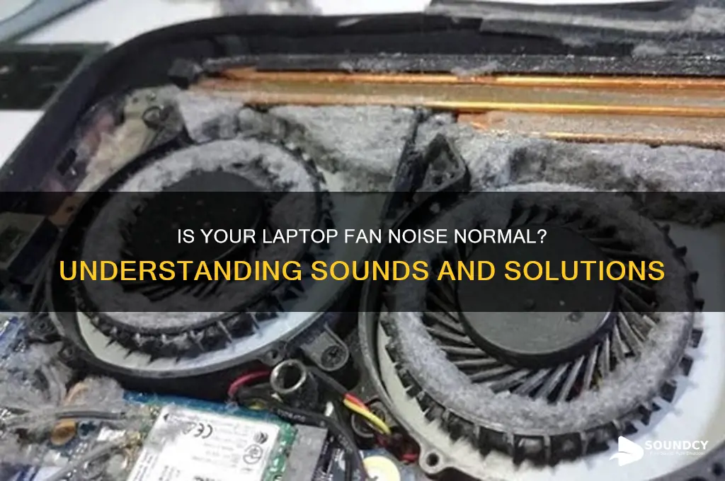 is laptop fan sound normal