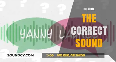 Is Laurel the Correct Sound? Debunking the Viral Audio Debate