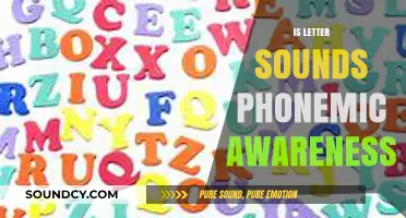 Unlocking Early Literacy: Understanding Letter Sounds and Phonemic Awareness