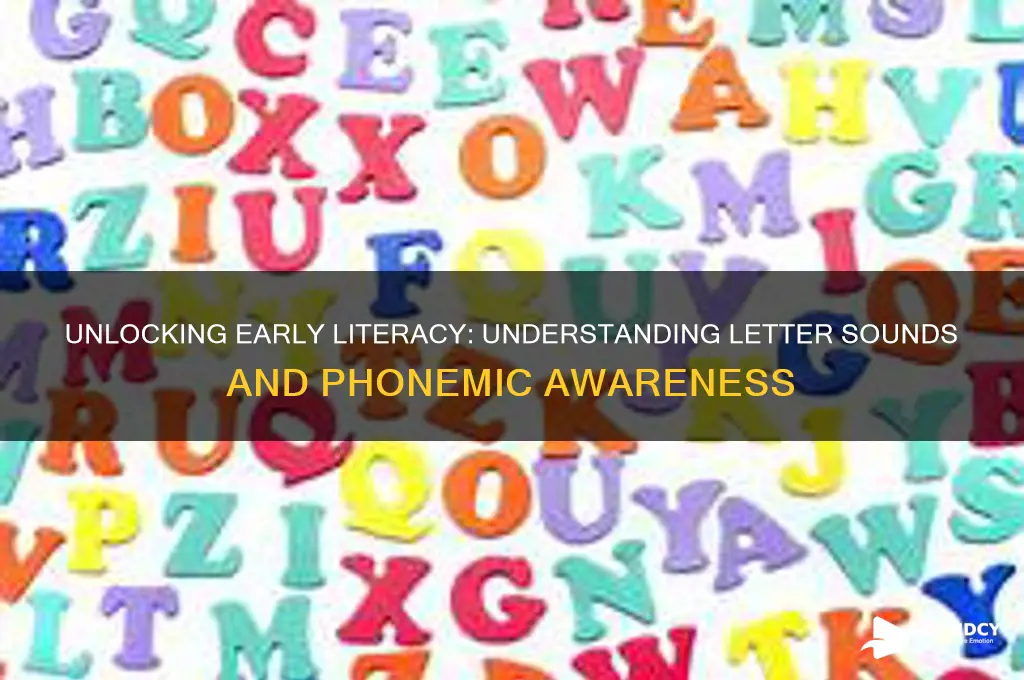 is letter sounds phonemic awareness