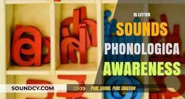 Understanding Letter Sounds: Unlocking Phonological Awareness for Early Literacy