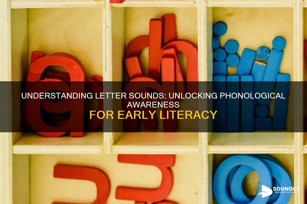 is letter sounds phonological awareness