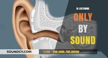 Beyond Sound: Exploring the Limits of Auditory Perception and Listening