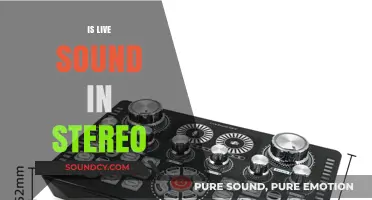 Is Live Sound in Stereo? Exploring the Reality of Concert Audio