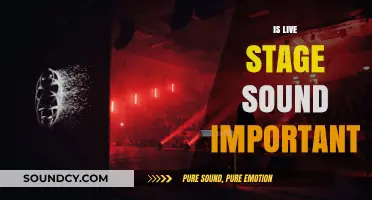 Why Live Stage Sound Makes or Breaks Your Performance Experience