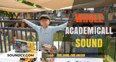 Is Living Whole Academically Sound? Exploring Holistic Education's Validity