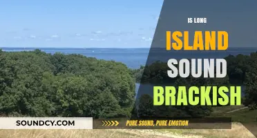Is Long Island Sound Brackish? Exploring Its Unique Water Composition