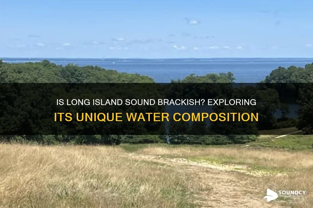 is long island sound brackish