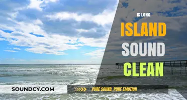 Is Long Island Sound Clean? Exploring Its Health and Conservation Efforts