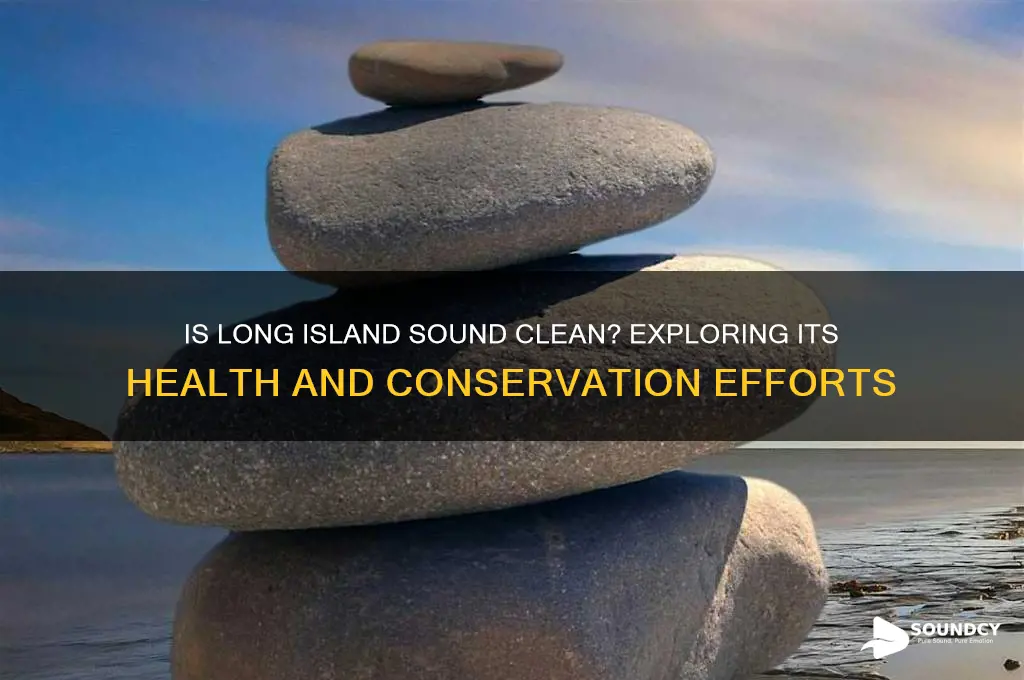 is long island sound clean