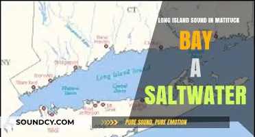 Exploring the Salinity of Long Island Sound in Mattituck Bay