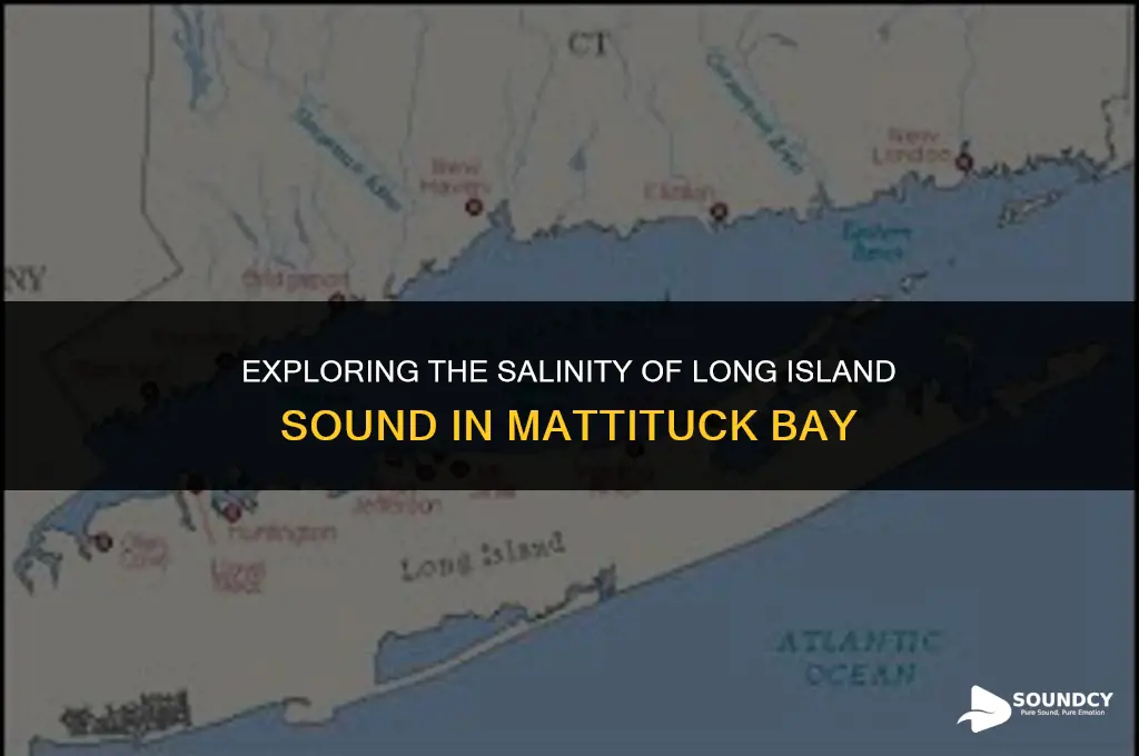 is long island sound in matituck bay a saltwater